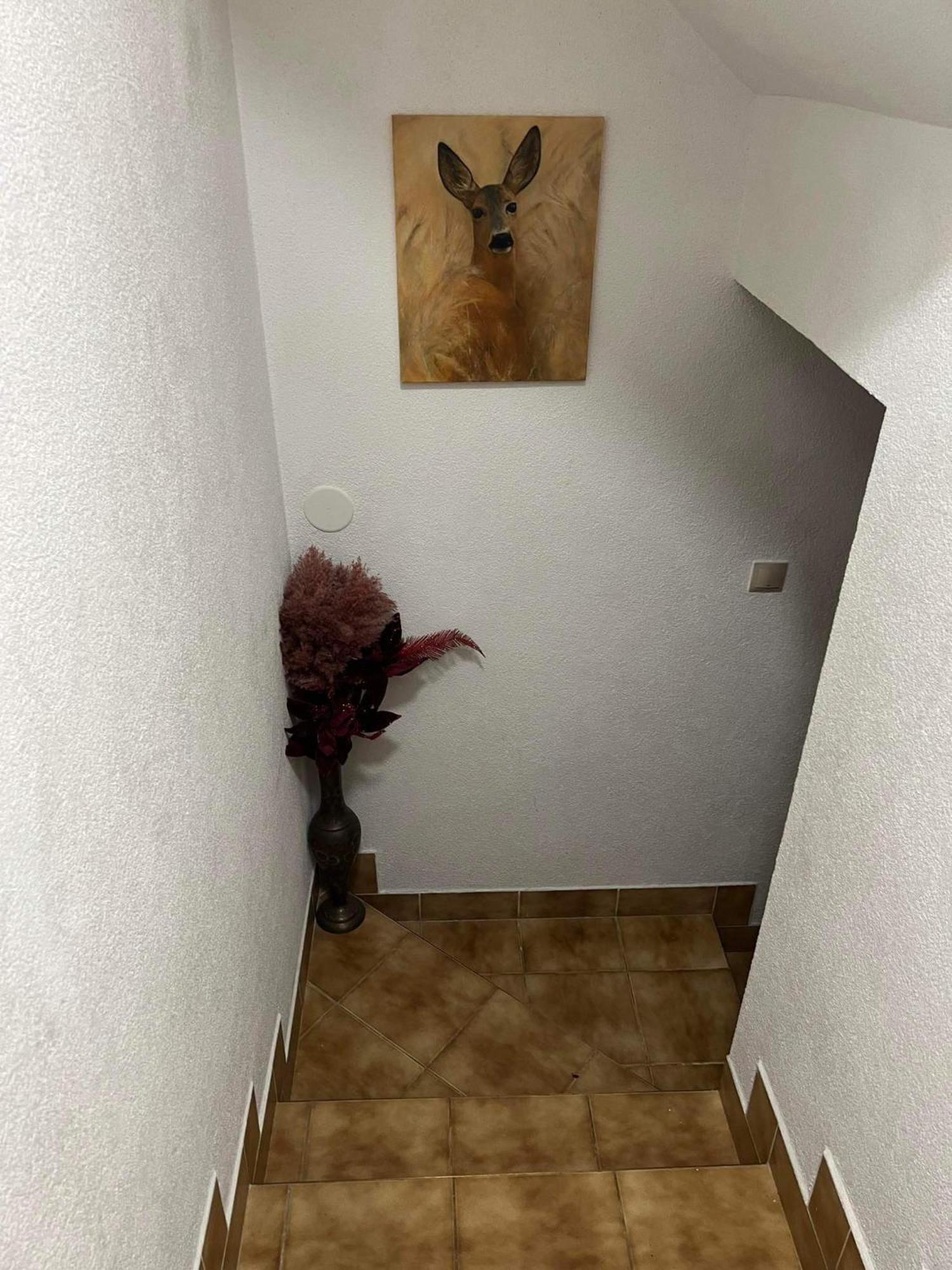 Privat Forest Lipótszentmiklós Kültér fotó